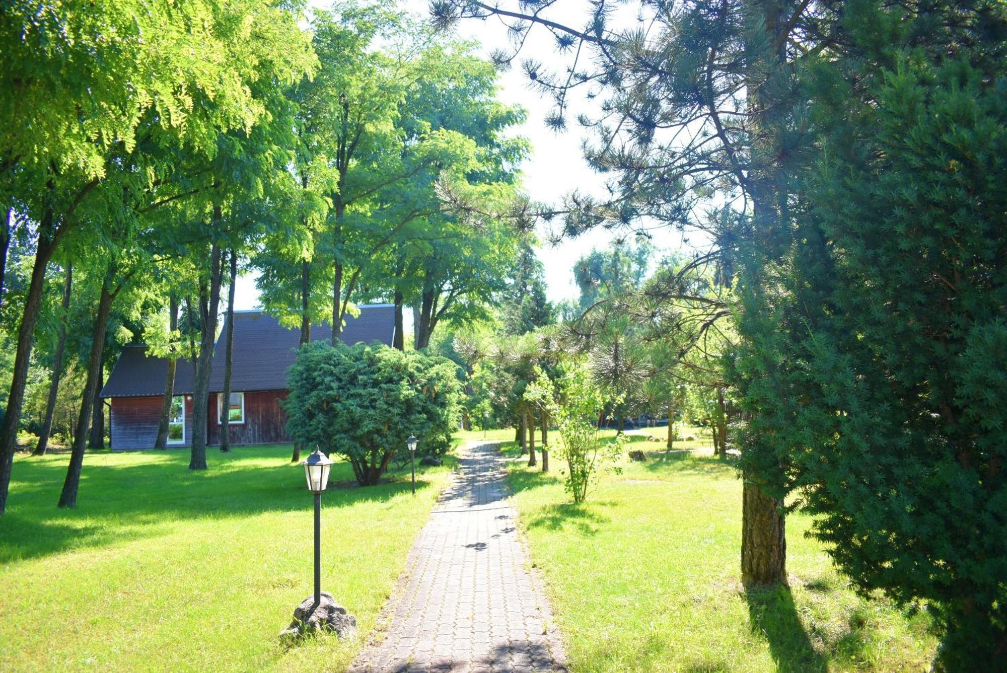 Center Angelos Bronkow Luaran gambar