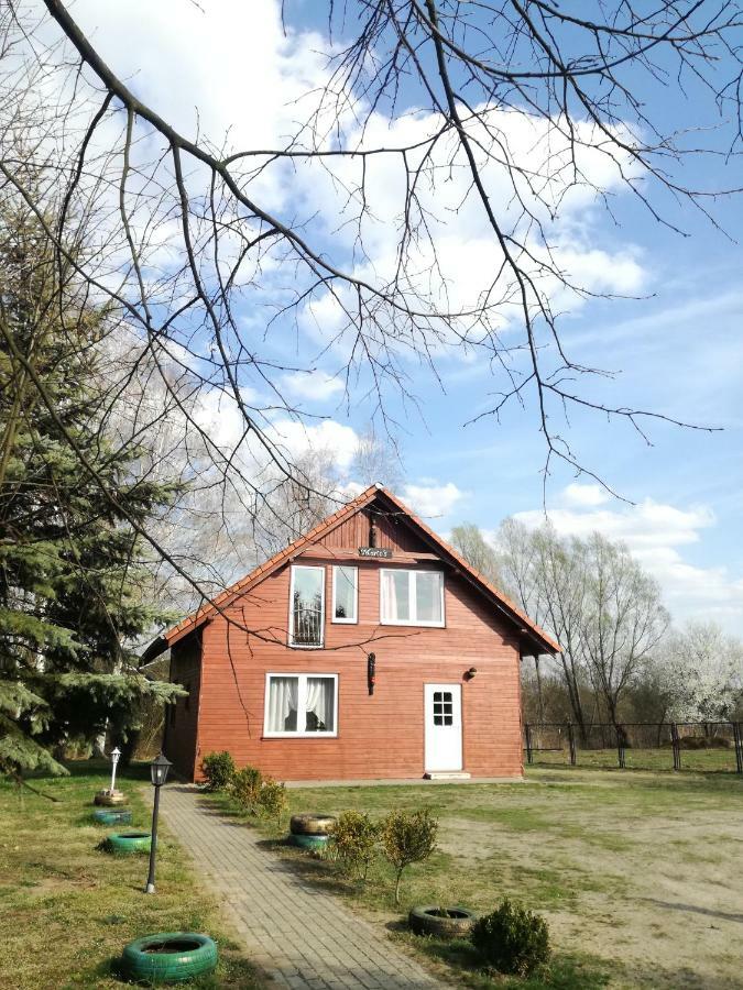 Center Angelos Bronkow Luaran gambar