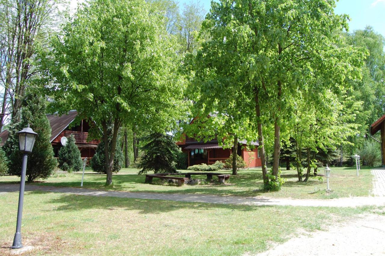 Center Angelos Bronkow Luaran gambar